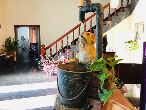 Chong Er Ya She Homestay