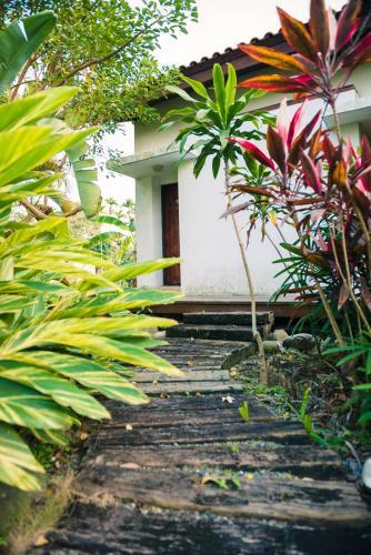 Bed & Breakfast Palm Villa Guesthouse