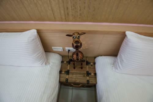 Catt Leya B&B Hotel