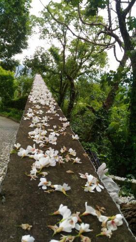 Miaoli Sanyi Travelling Homestay