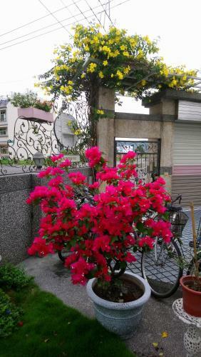 Ido Homestay