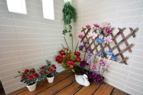 Bed & Breakfast Xanadu Bnb