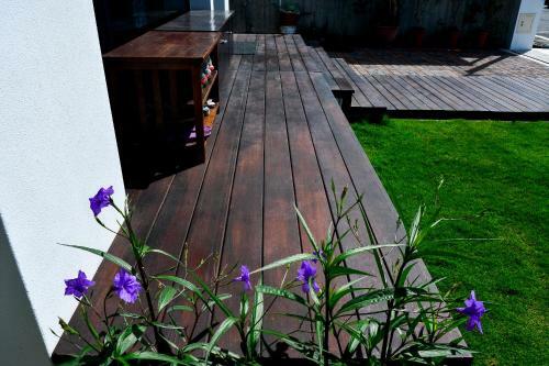 Begonia B&B