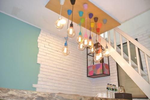 Snail Pets Homestay
