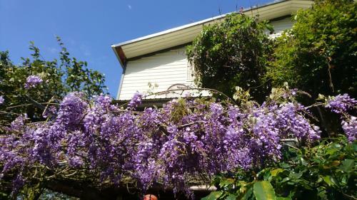 An Yun Mountain Homestay