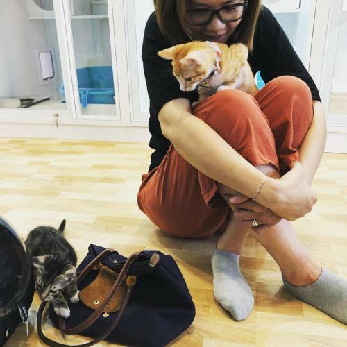 Apartamento Meo-woo Cat Travel