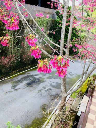 Ching Jing Egmont Resort