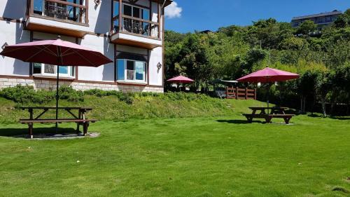 Hostal Starvilla