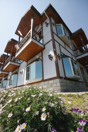 Hostal Starvilla