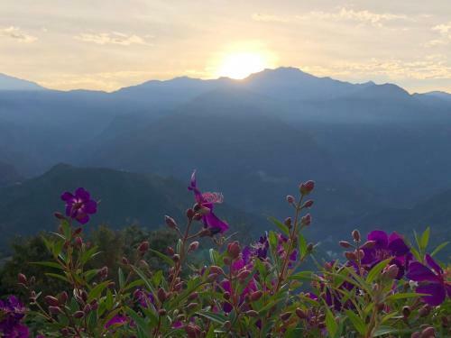 Hostal Starvilla