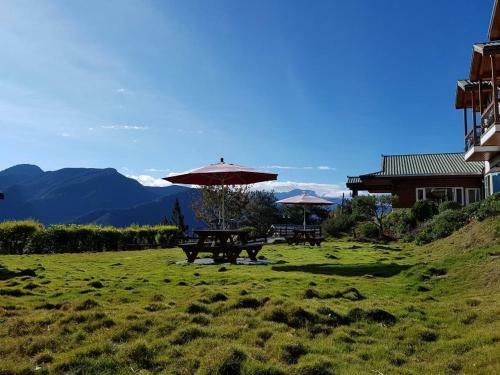 Hostal Starvilla