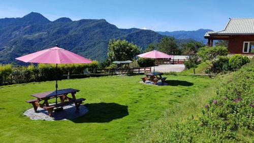 Hostal Starvilla