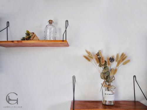 Albergue Grano-house
