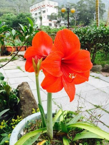 Bei Heng Zhi Xieng Homestay