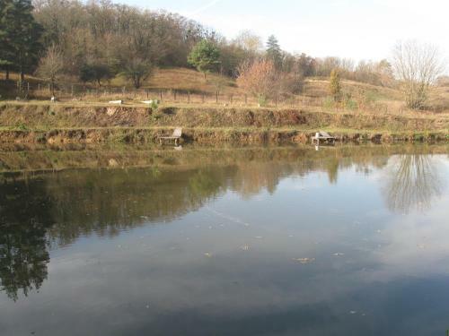 Lodge Fishing Park