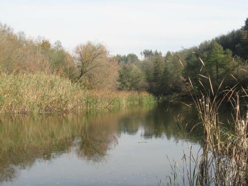 Lodge Fishing Park