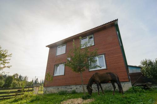 Hostal U Ilka