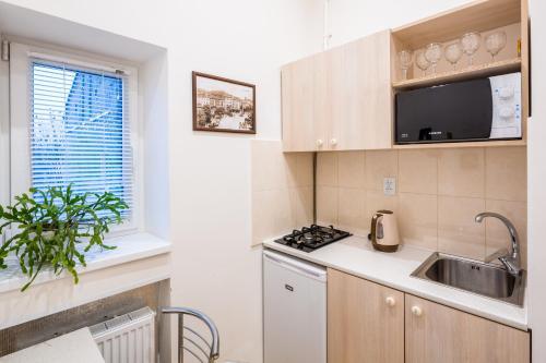 Apartment On Khmelnytskogo Street
