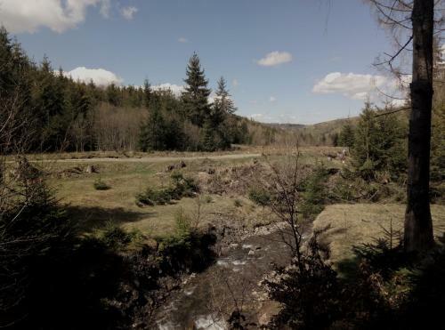 Hostal Wooddream