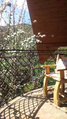 Hostal Doroga Dodomu