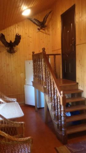 Guest House Apartment