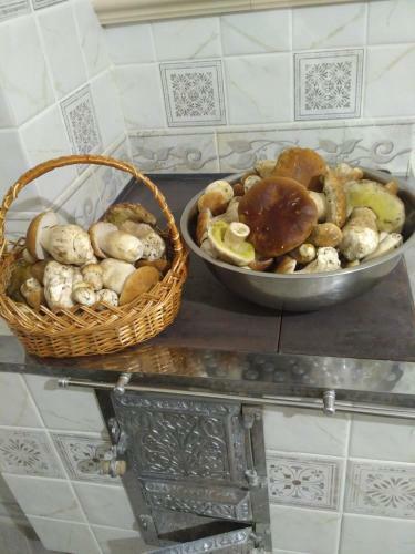 Hostal Marmarosy