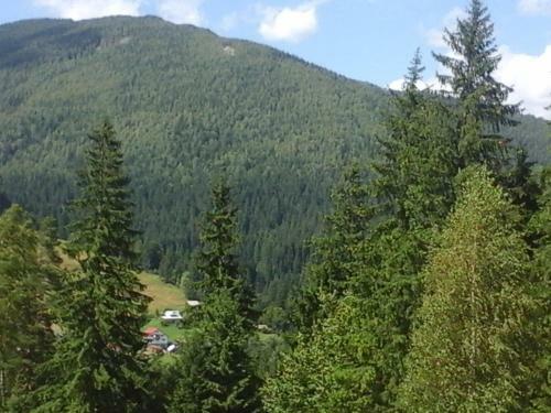 Hostal Romashka Guest House