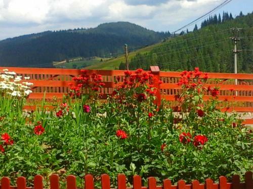 Hostal Romashka Guest House