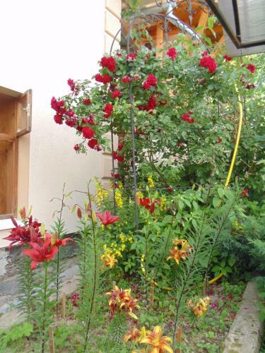 Hostal Sadyba U Lesi