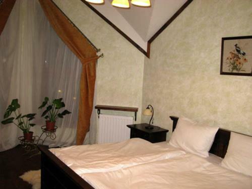 Hostal Gnizdo Golubky
