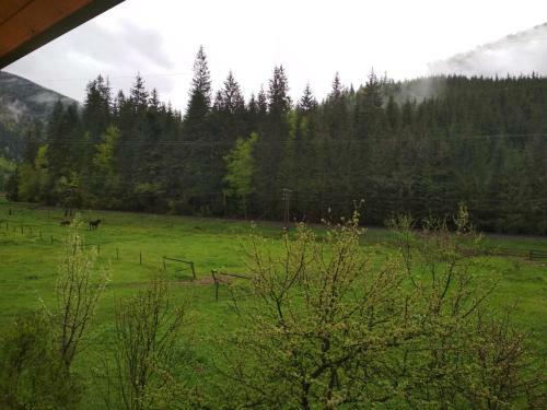 Hostal Na Horbyku