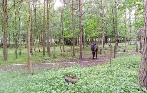 Holiday Home Skomakarv�gen S�der�kra