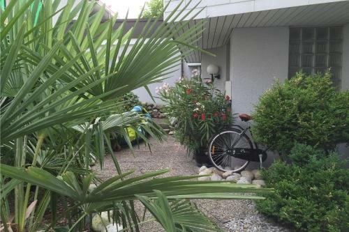 Apartamentos Chateau Sch�pbach