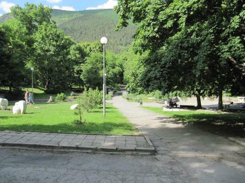 Villa The Zoev House