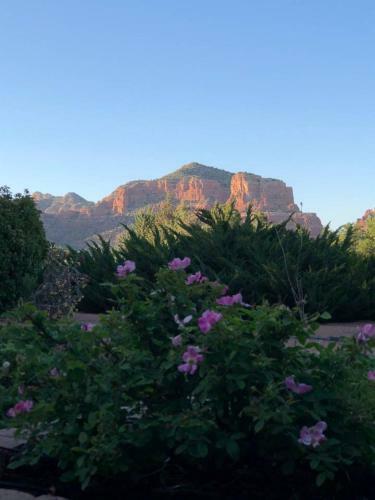 Sedona Spectacle Main And Guest House Sleeps 20