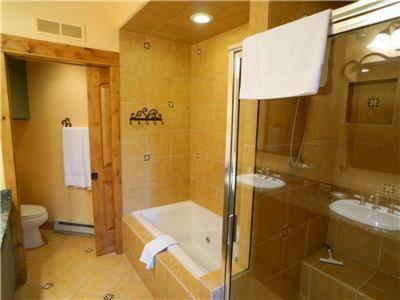 Apartamento Spa At Storm Meadows - Chamonix III