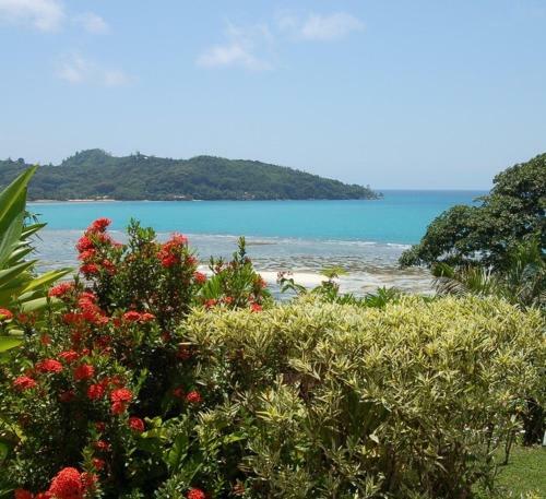 Lodge Sailfish Beach Villas