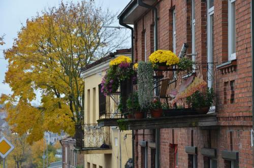 Old Town Apartments
