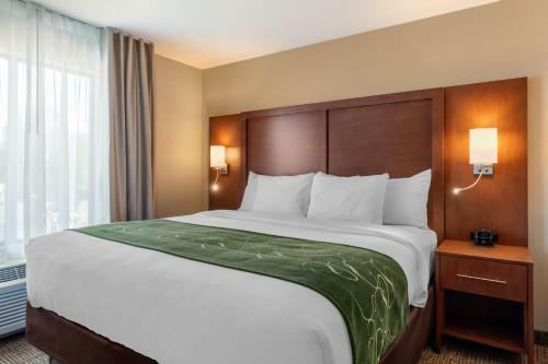 Hotel Comfort Inn & Suites Schenectady - Scotia