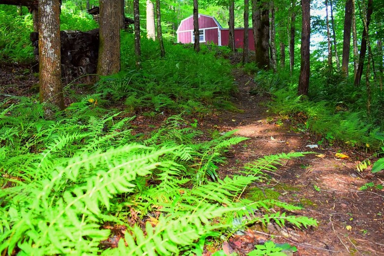 The Owl's Perch