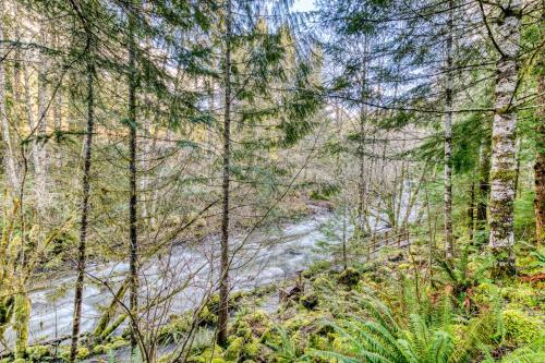 Huckleberry Haven