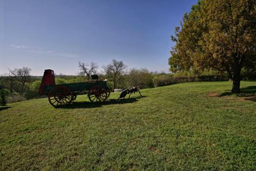 Live Oak B&B