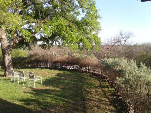 Live Oak B&B