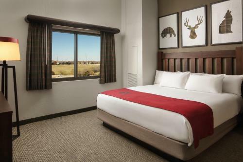 Hotel Great Wolf Lodge Grapevine