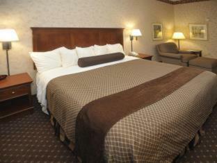 Hotel Best Western Plus Shamrock Inn & Suites