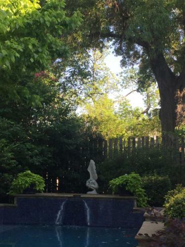 Bed & Breakfast Fig Tree Manor