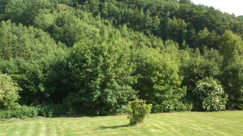 La Cl� Des Champs