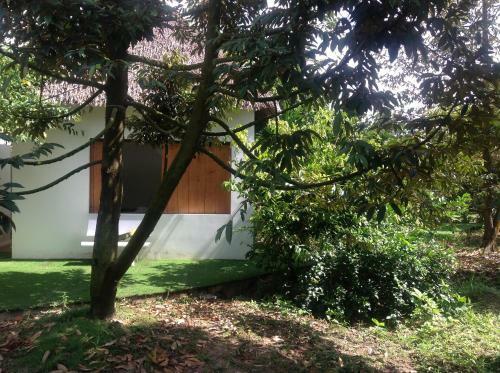 Albergue The Platoon