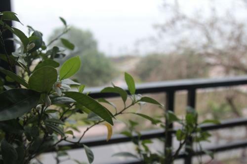 Geminai Hotel & Caf�