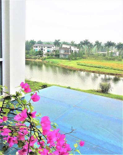 Flamingo Happy Villa Owner